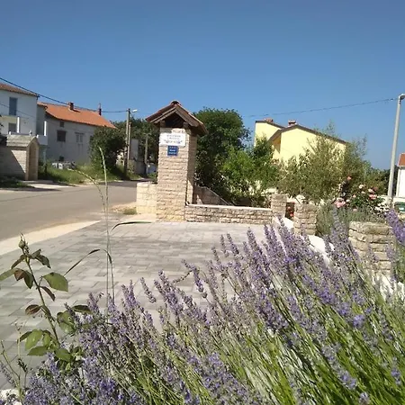 Daire Lavanda 2 *