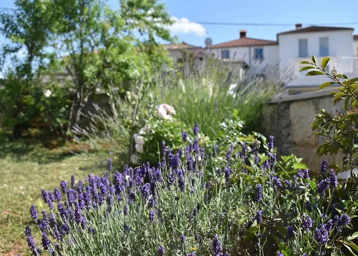 Lavanda 2 Poreč